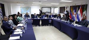 PMA promotes the protection of cetaceans