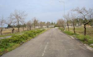 ΤΑΙΠΕΔ: Υποβολή μίας προσφοράς για την αξιοποίηση του ακινήτου «Ιαματική Πηγή & Κάμπινγκ Κονιαβίτη»