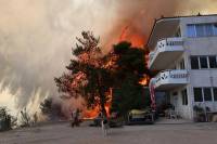 Φωτιά στη Φυλή: Εκκενώνονται Άνω Λιόσια, Γεννηματά και Κανάλα