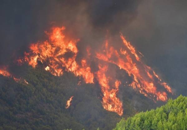 Ηλεία: Τιτάνια μάχη να τεθεί η φωτιά υπό έλεγχο
