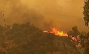 Στη δύσβατη περιοχή της Δεσφίνας το βασικότερο μέτωπο της φωτιάς στην Ανατολική Μάνη