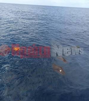 Ανδραβίδα: Νεκρός εντοπίστηκε ο συγκυβρνήτης του μοιραίου Phantom - Αναζητείται ο κυβερνήτης