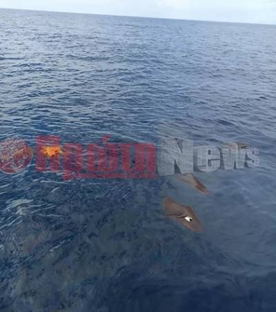 Ανδραβίδα: Νεκρός εντοπίστηκε ο συγκυβρνήτης του μοιραίου Phantom - Αναζητείται ο κυβερνήτης