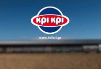 Κρι-Κρι: Αναπληρωτής CEO ο κ. Γεώργιος Τσινάβος