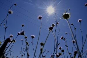 Τους 30 βαθμούς θα φθάσει η θερμοκρασία στις αρχές Μαΐου