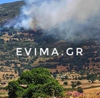 Μεγάλες πυρκαγιές σε Κάρυστο και Κνωσό