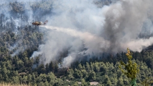 Χωρίς τελειωμό ο πύρινος εφιάλτης στα Βίλια - Μάχη κοντά στους οικισμούς Οινόη και Πανόραμα