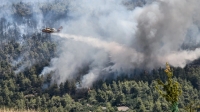 Χωρίς τελειωμό ο πύρινος εφιάλτης στα Βίλια - Μάχη κοντά στους οικισμούς Οινόη και Πανόραμα
