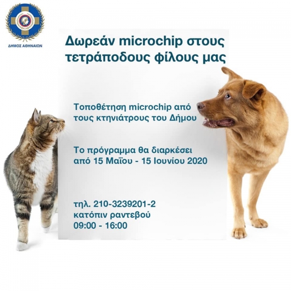 Δωρεάν microchip σε σκύλους και γάτες από τον Δήμο Αθηναίων