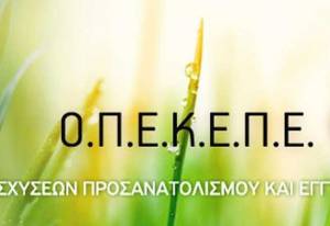 ΟΠΕΚΕΠΕ: Ολοκληρώθηκε η χορήγηση δικαιωμάτων βασικής ενίσχυσης από το εθνικό απόθεμα έτους 2021