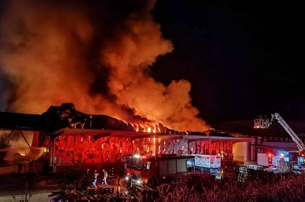 Λαμία: Από πρόθεση η φωτιά στο εργοστάσιο τροφίμων σύμφωνα με την Πυροσβεστική