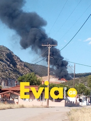 Ανεξέλεγκτη φωτιά σε σκουπιδότοπο στη Χαλκίδα