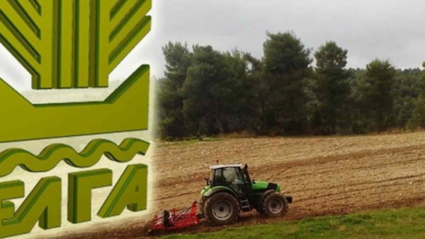ΕΛΓΑ: Παρατείνεται έως 15 Δεκεμβρίου η καταβολή της ασφαλιστικής εισφοράς του 2019