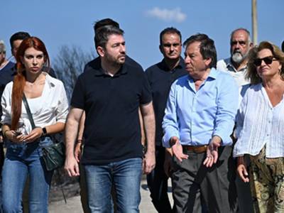 Ανδρουλάκης από τον Έβρο: Η ασφάλεια και η πολιτική προστασία είναι το «Βατερλώ» της σημερινής κυβέρνησης