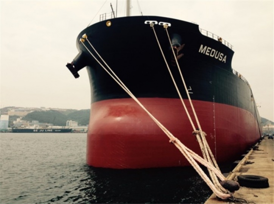 Diana Shipping Inc. Announces Direct Continuation of Time Charter Contract for M/V Medusa With Cargill