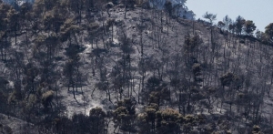 Περίπου 71.300 στρέμματα έκαψε η μεγάλη πυρκαγιά στα Γεράνεια