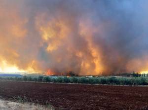 Σε ένα μέτωπο κινείται πλέον η πυρκαγιά στην Εύβοια