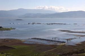 Εξάμηνη παράταση της αναστολής πλειστηριασμών για τους πληγέντες από τις φυσικές καταστροφές στη Θεσσαλία