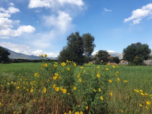 Υψηλές θερμοκρασίες το Μ. Σάββατο - Το θερμόμετρο θα αγγίξει τους 34 βαθμούς