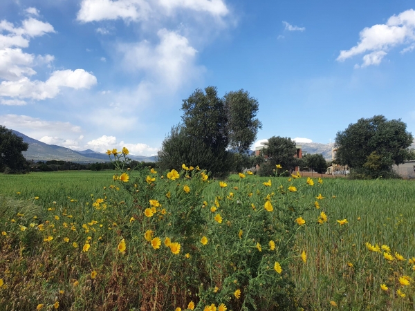Υψηλές θερμοκρασίες το Μ. Σάββατο - Το θερμόμετρο θα αγγίξει τους 34 βαθμούς