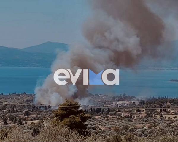 Μεγάλη φωτιά στη Μαγούλα Ερέτριας: Καίει κοντά σε σπίτια - Ήχησε το 112