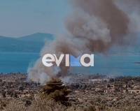 Μεγάλη φωτιά στη Μαγούλα Ερέτριας: Καίει κοντά σε σπίτια - Ήχησε το 112
