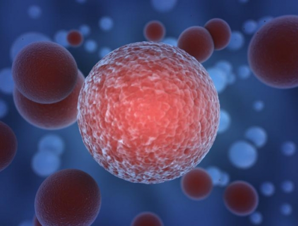 Τυχαία ανακάλυψη ανοσοποιητικού κυττάρου σκοτώνει όλους τους καρκίνους