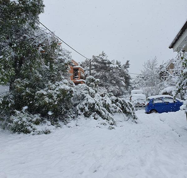Στα €6,5 εκατ. εκτιμώνται οι αποζημιώσεις των ασφαλιστικών για τις ζημίες απο τις χιονοπτώσεις της κακοκαιρίας «Ελπίς»