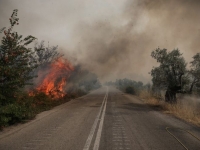 Πέτσας: Νέα έκτακτη χρηματοδότηση 4 εκατ. ευρώ στους πληγέντες στην Εύβοια