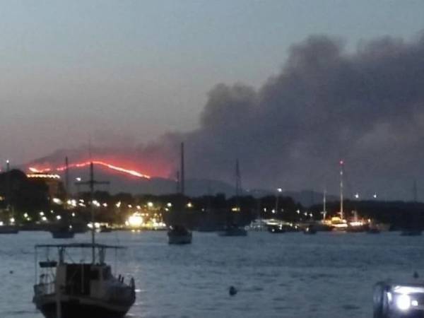 Άδ. Γεωργιάδης: 534 ευρώ επίδομα για 3 μήνες στους εργαζόμενους σε πυρόπληκτες επιχειρήσεις