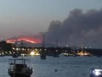 Άδ. Γεωργιάδης: 534 ευρώ επίδομα για 3 μήνες στους εργαζόμενους σε πυρόπληκτες επιχειρήσεις