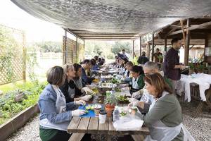 2.000 μερίδες φαγητό ετοιμάστηκαν από τον Σ.Ε.Σ.Α.Ε. σε συνεργασία με την Οργάνωση ΓΗ