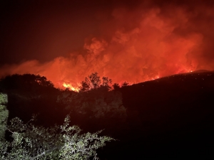 Πάνω από 94.000 στρέμματα η καμένη γη στα Βίλια και 5.317 στην Κερατέα