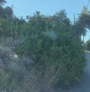 Πάνω από 765.000 δηλώσεις καθαρισμού οικοπέδων