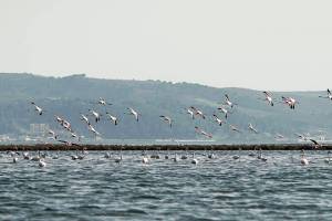 EBRD and Italy promote eco-tourism in Albania