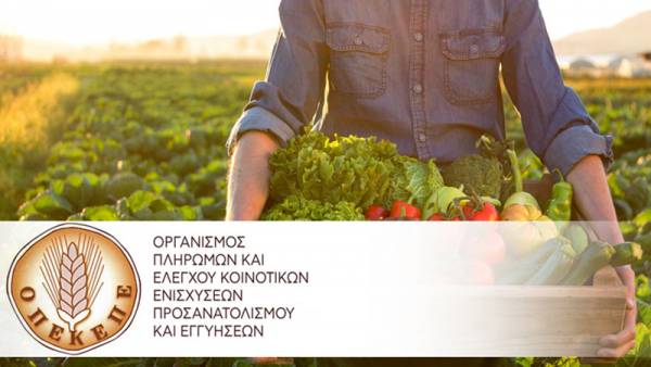 ΟΠΕΚΕΠΕ: Πάνω από 49.000 πλαστά πιστοποιητικά για βιολογικές καλλιέργειες