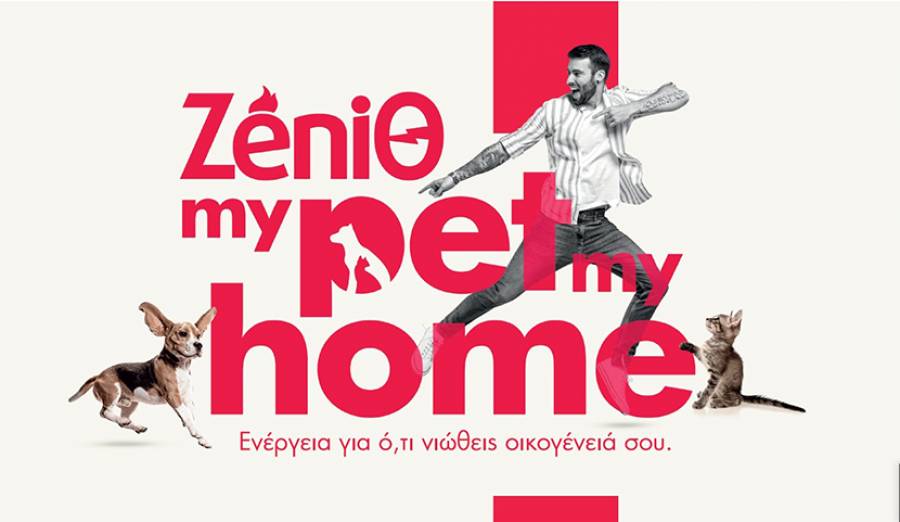 ΖeniΘ_My Pet My Home: Ενέργεια για ό,τι νιώθεις οικογένειά σου