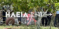 Πύργος: Έπεσε μονοκινητήριο αεροπλάνο - Νεκροί οι δύο επιβαίνοντες