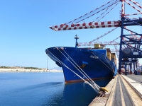 Performance Shipping Inc. Announces Appointment Of New Chief Executive Officer And Chief Financial Officer
