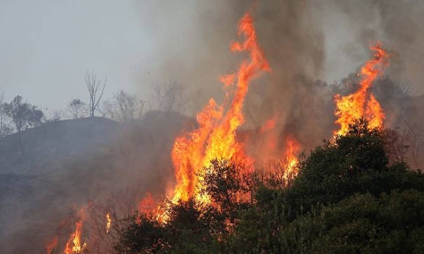 Ομολογία 14χρονου εμπρηστή: «Έβαζα φωτιές γιατί μου άρεσε να βλέπω τις φλόγες»