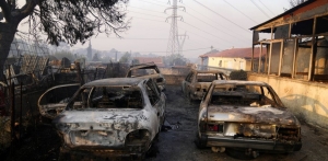 Στις 77 οι πληγείσες επιχειρήσεις από την μεγάλη πυρκαγιά στη Βαρυμπόμπη