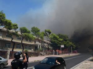Κόλαση φωτιάς, σε Πεντέλη και Βριλήσσια έφτασαν οι φλόγες