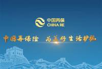 China Reinsurance - Announcement on approval for registration by the CSRC for the application for the issuance of domestic shares to the specific investor