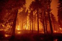 Guy Carpenter launches ground-breaking European Wildfire Risk Score