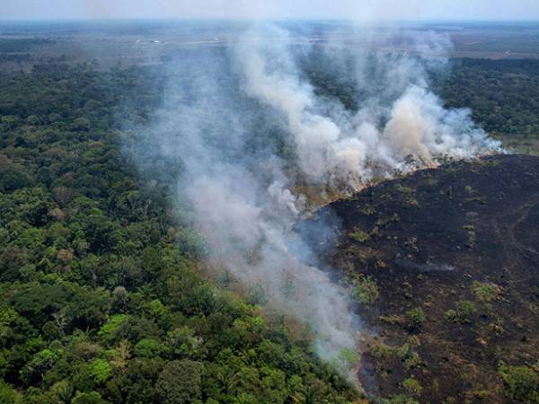 Βραζιλία: Στις φλόγες το μεγαλύτερο τροπικό δάσος του πλανήτη