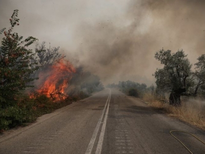 Παράταση υποβολής και πληρωμής ΦΠΑ για τις επιχειρήσεις της Εύβοιας