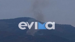 Νέα φωτιά στον Μίστρο Ευβοίας