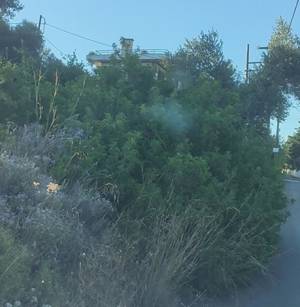 Καθαρισμός οικοπέδων: Παράταση έως και τις 22 Ιουνίου