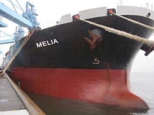 Diana Shipping Inc. Announces Time Charter Contract for m/v Melia with Ausca