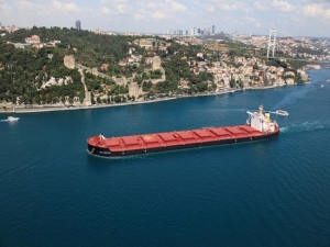 Diana Shipping Inc. Announces Time Charter Contract for m/v Alcmene with Cargill